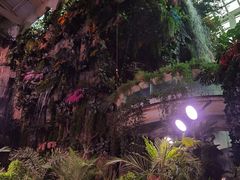 -正佳雨林生态植物园