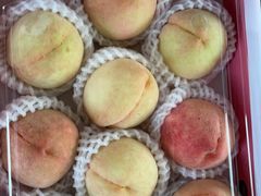 -南汇水蜜桃采摘(大团店)