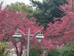 -乌山风景区