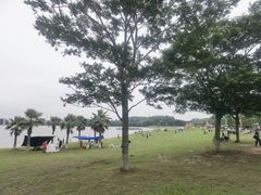 -仙湖旅游度假区