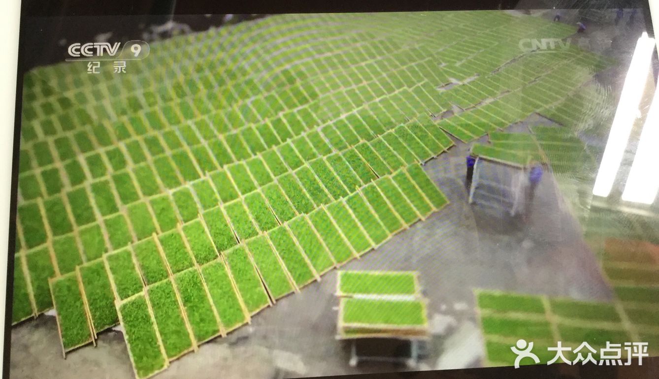 特色推荐: 纪录片《茶,一片茶叶的故事》,早上刚刚看