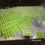 特色推荐: 纪录片《茶,一片茶叶的故事》,早上刚刚看