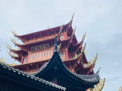 -龙潭水乡