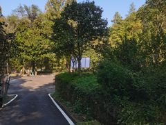 -素山寺森林公园