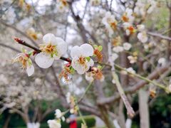 -金山公园