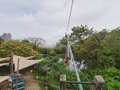 -青青世界