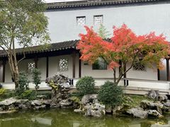 -秋霞圃