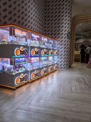 -奈尔宝家庭中心·亲子餐厅(华采天地店)