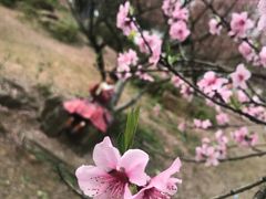 -秀丽东方
