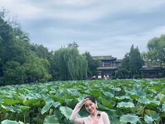 -莲池书院博物馆
