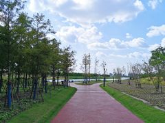 -春花秋色城市公园