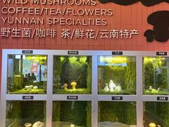 -芸山季·云南山珍菌火锅(宝能环球汇店)