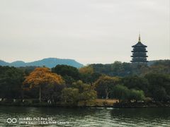 -西湖游船