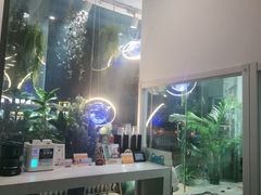-纳吉亚猫专科动物医院·北北分院