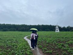 -帽儿山国家森林公园