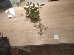 -代数学家algebraist(诚品店)