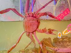 -二钳洞庭虾蟹·江湖菜(成都鹭岛店)