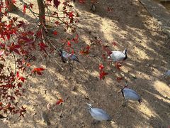 -无锡动物园·太湖欢乐园