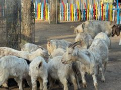 -西部长青自然儿童乐园