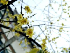 -太原小区