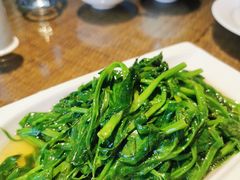 清炒豌豆尖-渝信川菜 · 川味家常菜(长安店)