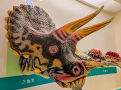 -安徽省地质博物馆