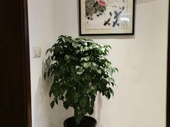 -南通洲际绿博园