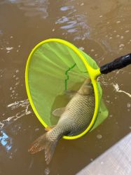 -巡鱼道·室内垂钓·渔具店