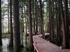 -东湖落雁景区
