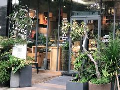 -倾城密码(大唐店)