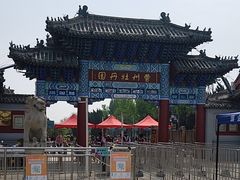 -曹州牡丹园