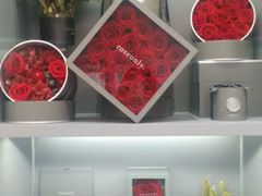 android_upload_pic-ROSEONLY诺誓(广州K11店)