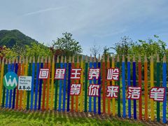 -王莽岭风景区