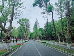 -四川大学(望江校区)