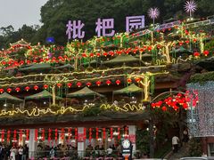 -枇杷园食为鲜火锅(南山店)