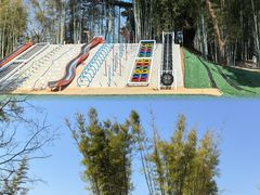 -苏家围·东江画廊旅游景区
