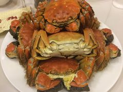 -王宝和酒家(黄浦店)