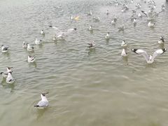 -敦煌雅丹国家地质公园