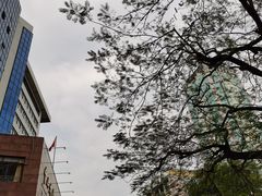 -中山大学附属第三医院(天河院区)