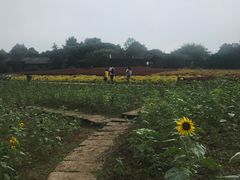 -保利石象湖景区