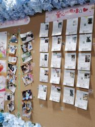 -doladola(徐家汇店)