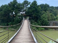 -铁山坪森林公园