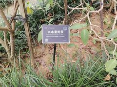-东莞植物园