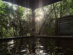 -天目湖涵田半山温泉