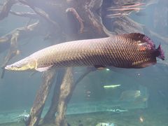 -华夏文旅海洋公园