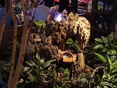-胡桃里音乐酒馆(石家庄店)