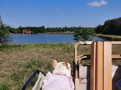 -广富林郊野公园