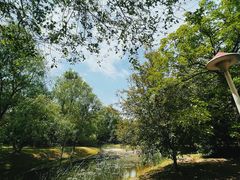 -长白岛森林公园