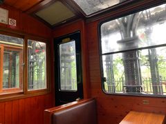 -合肥滨湖国家森林公园