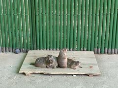 -杭州野生动物世界